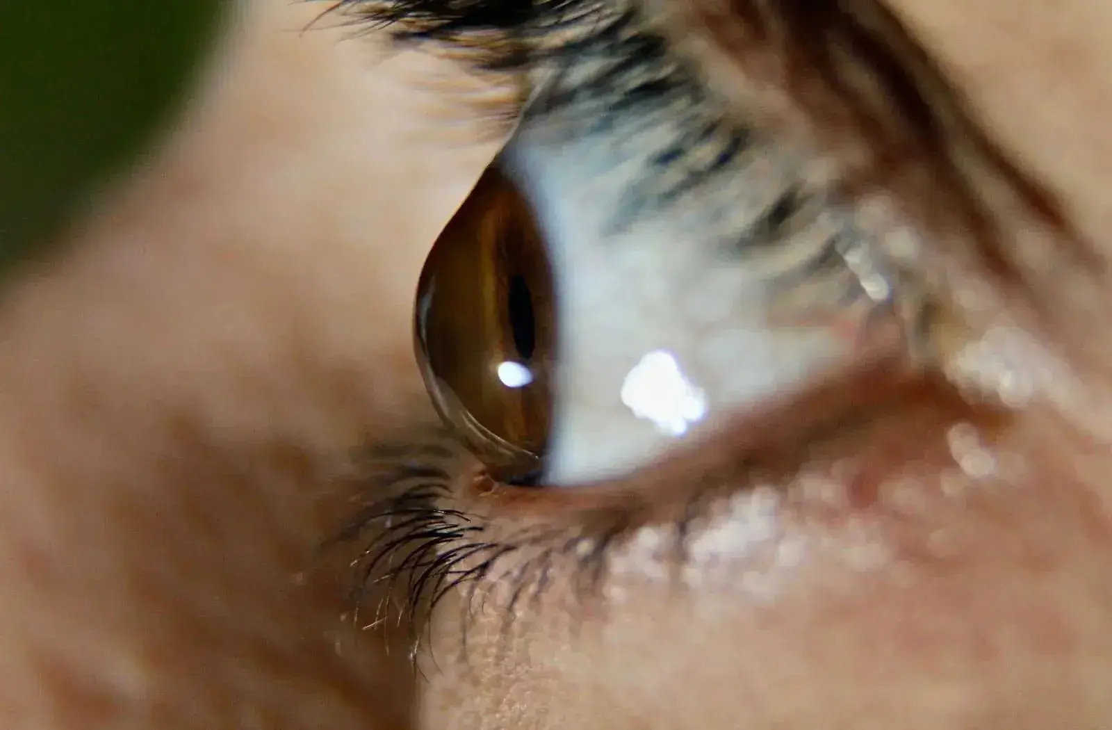 Close-up of a brown eye with detailed iris and eyelash features.