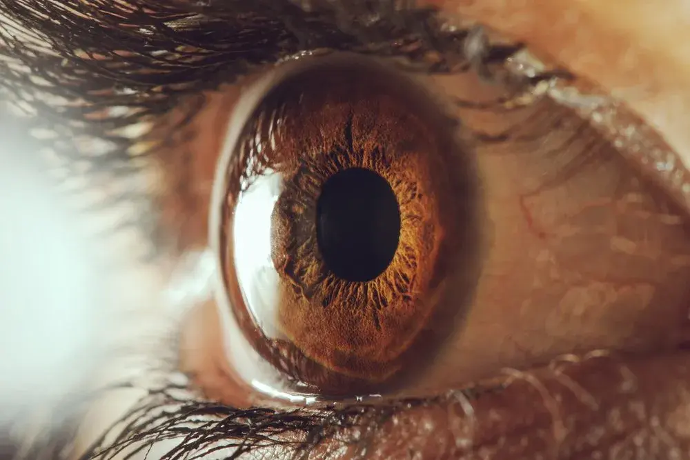 Close-up of a brown eye showing detailed cornea and pupil.