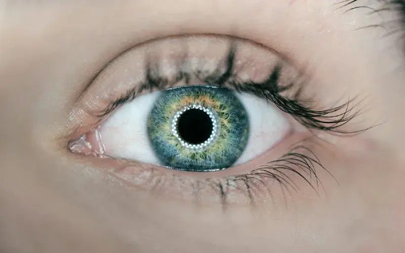 Close-up of a blue-green human eye with long eyelashes.