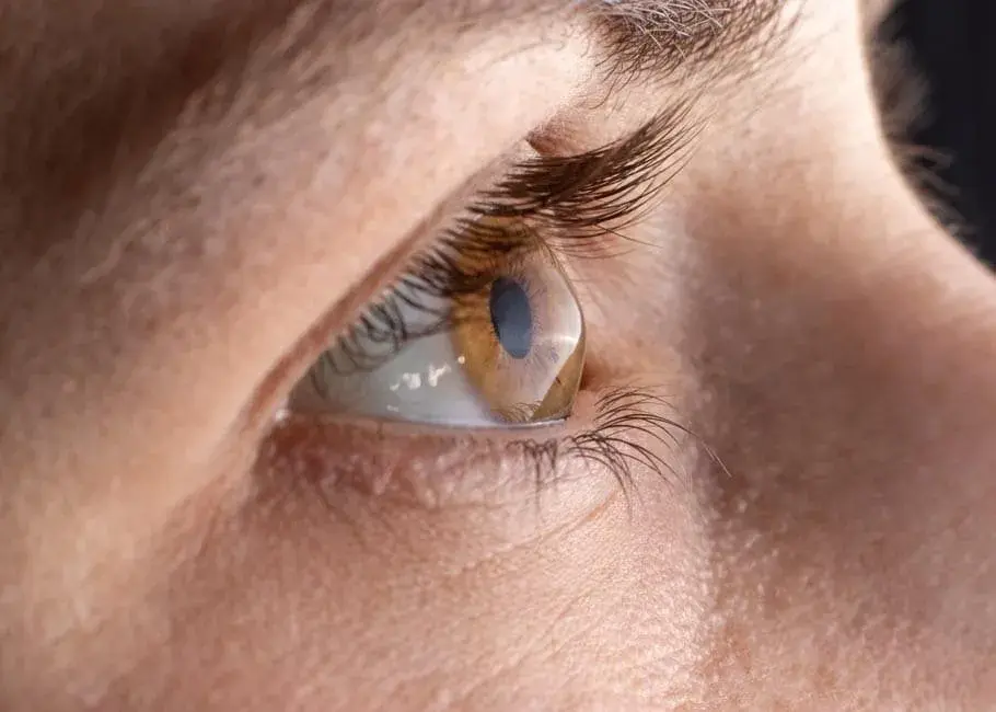 Close-up of a human eye showing brown iris and eyelash details.