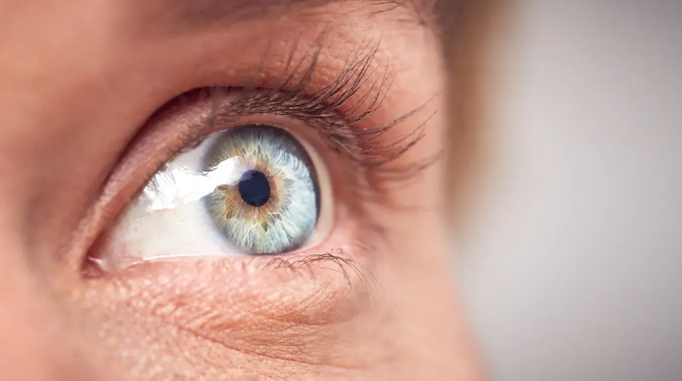 Detailed close-up of a human eye with a vibrant blue iris.