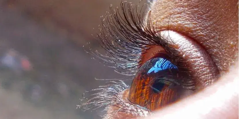 Close-up of a brown eye with prominent eyelashes and a reflection.