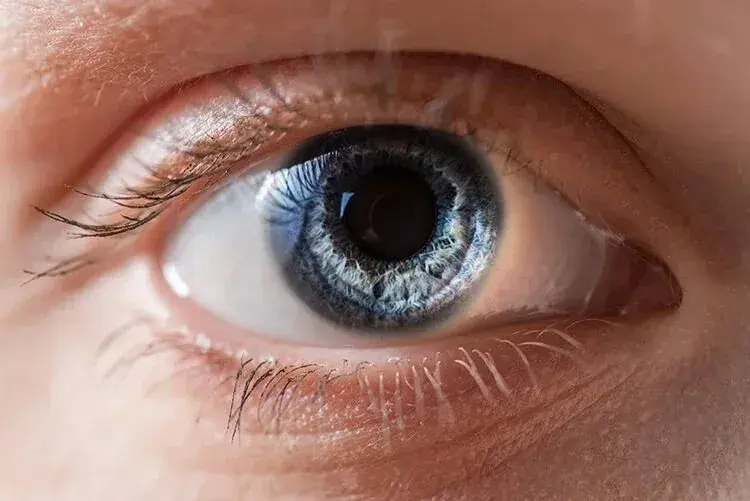 Close-up of a human eye showcasing iris and pupil details.